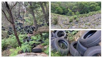 The tyres which were found down this embankment off Picton Rd. Pictures WaterNSW.