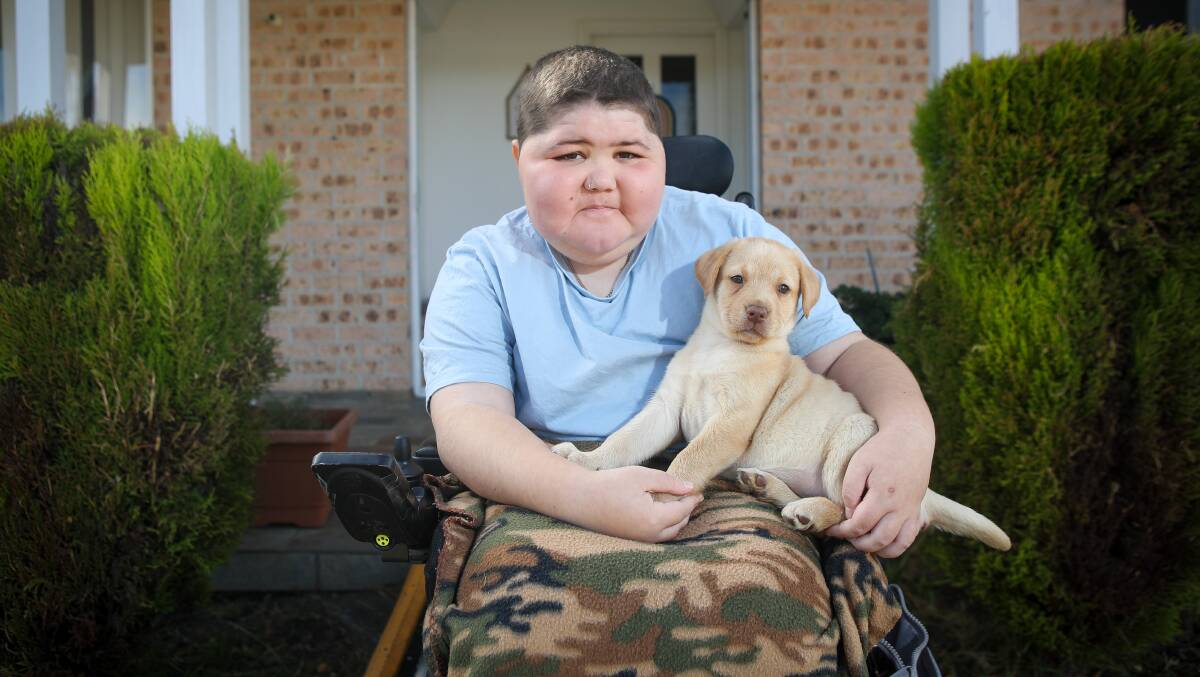 Instant buddies: Hunter Hawken with his new golden Labrador and best mate, Bee. Photo: Adam McLean