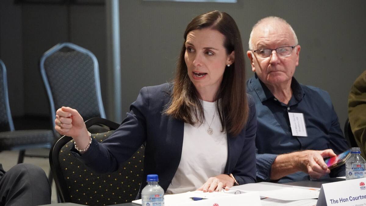 Natural resources minister Courtney Houssos at an Illawarra roundtable earlier this year to inform the Future Jobs & Investment Authority structure. Picture supplied