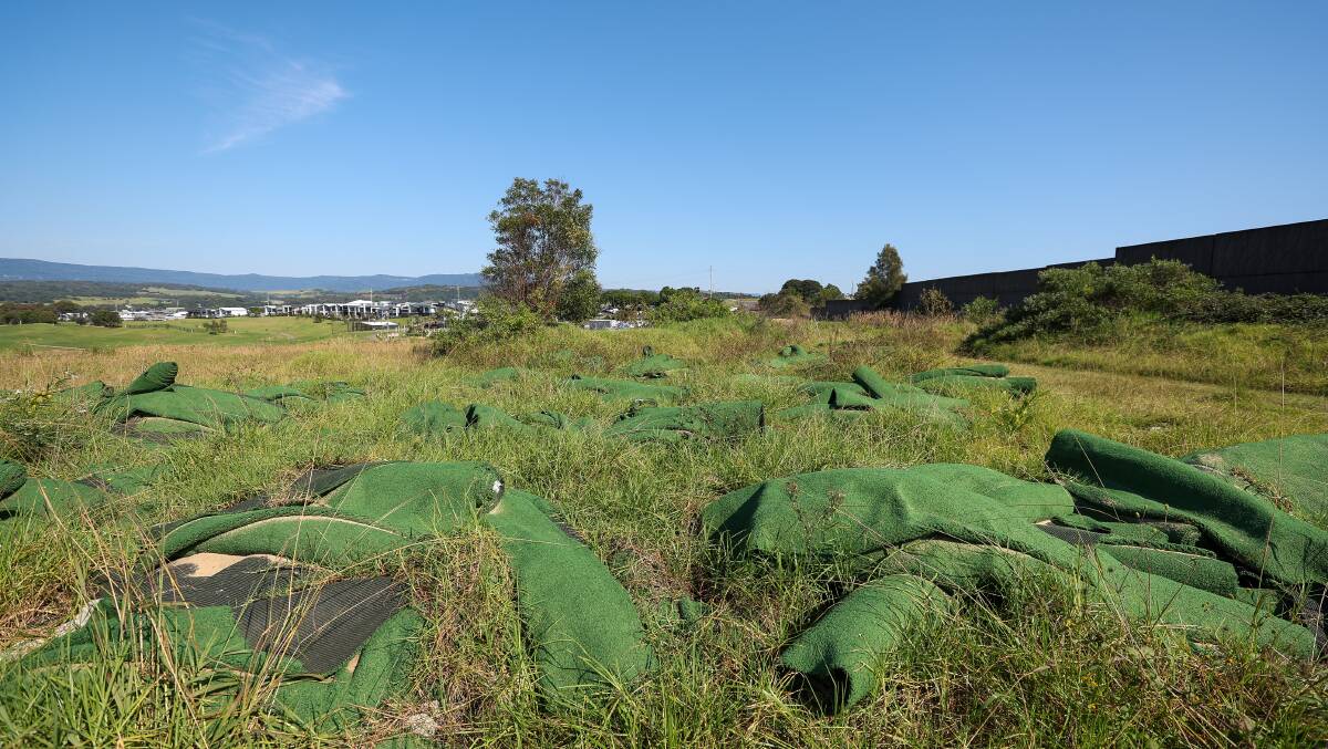 Rolls of dumped astroturf lie surrounded by weeds and overgrown vegetation. Picture by Adam McLean