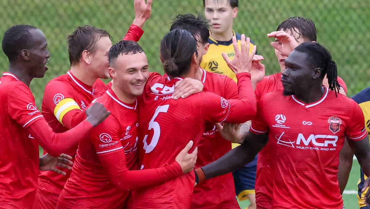 Wollongong Wolves picked up a crucial three points against St George City in the NPL NSW Men's finals race. Picture by Adam McLean