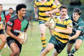 Campbelltown will tackle Shoalhaven in the latest round of Illawarra Rugby. Pictures by Anna Warr