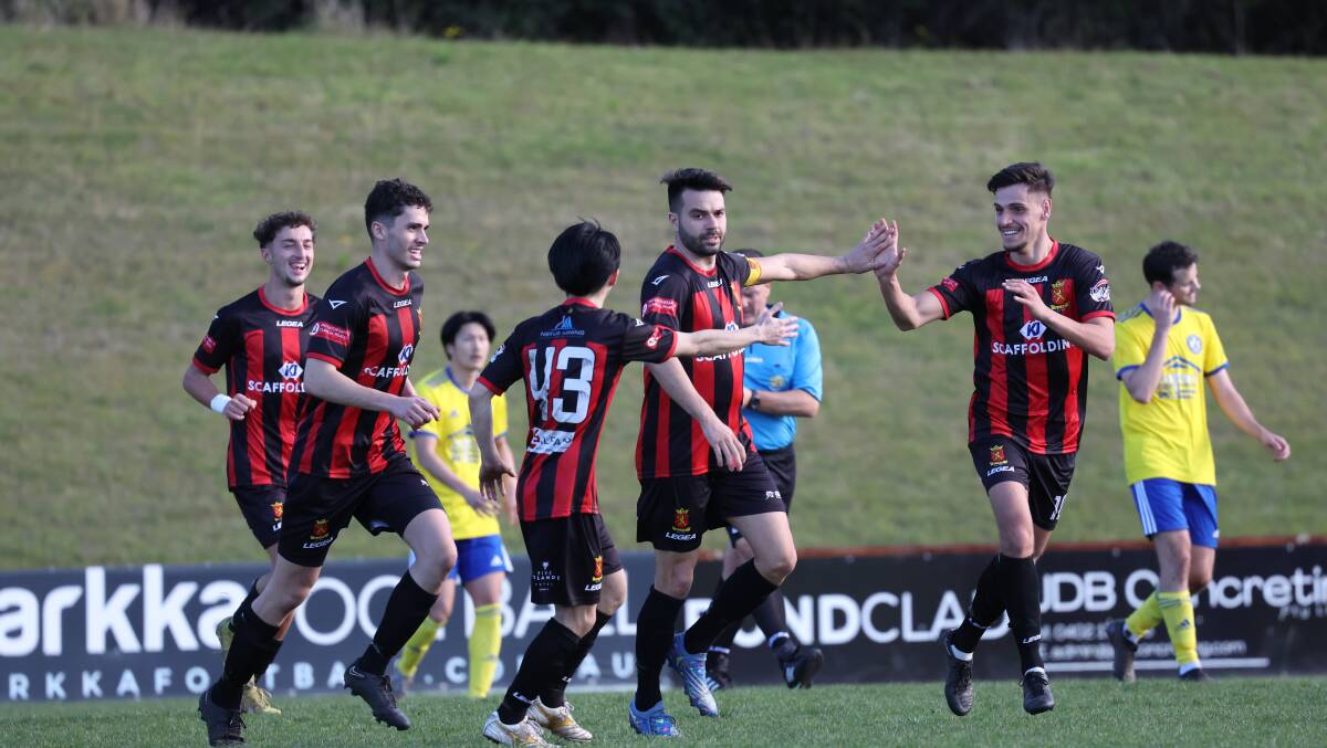 A big win for Cringila Lions FC with the announcement of new lighting to be installed at its home ground, John Crehan Park. Picture by Adam McLean