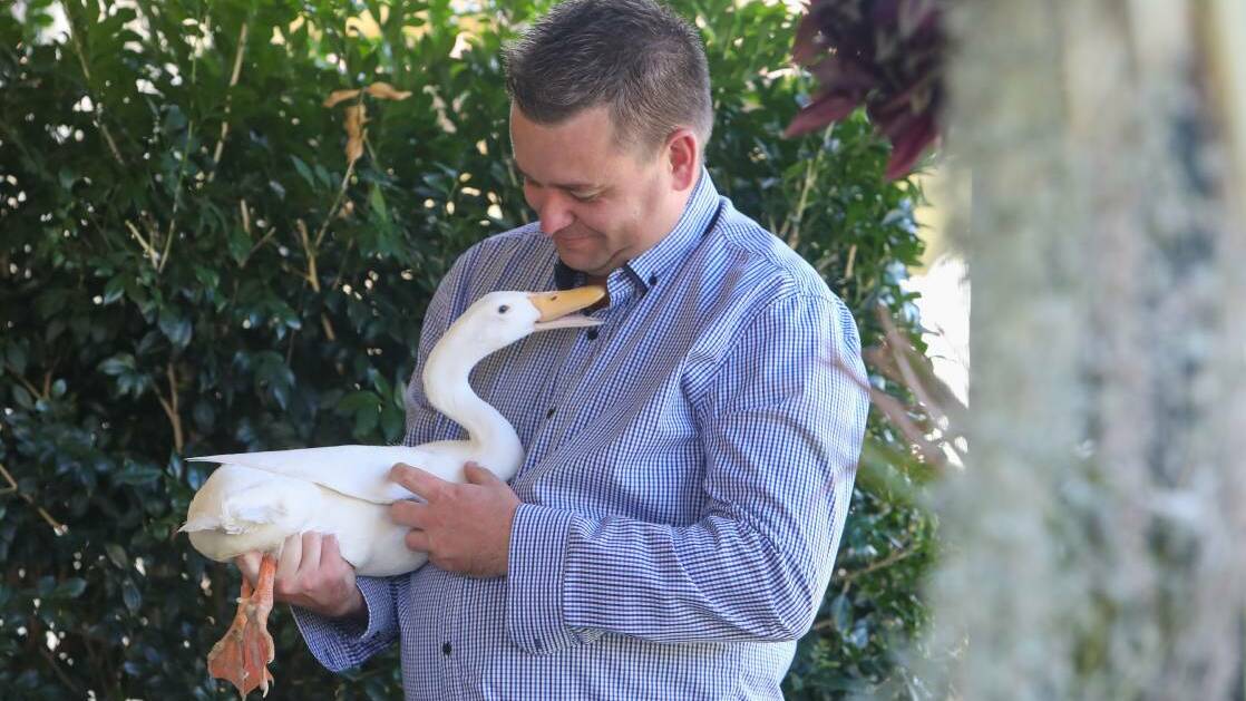 Danny Benn at his Dapto home with champion Indian Runner Duck Ferdinand. Ferdinand made history and won champion bird at the 2021 Sydney Royal Easter Show. Picture by Adam McLean.