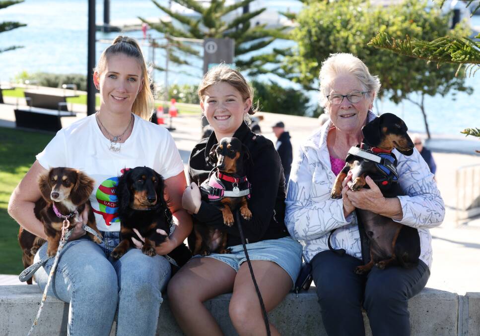 Rebecca Goodchild (pictured far left), Summer Caught and Marie Beatty with dachshunds Archie, Benji, Bambi, Elsa. Picture by Robert Peet