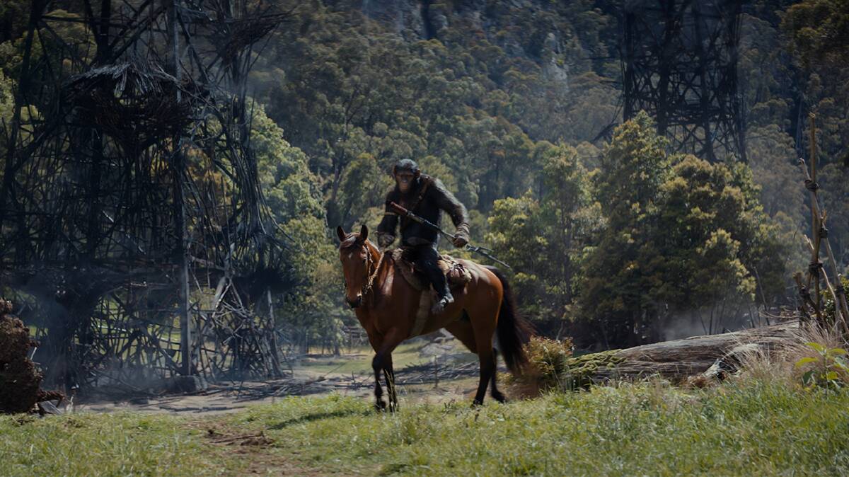Owen Teague as Noa from Kingdom of the Planet of the Apes in a scene filmed south-west of Albion Park. Picture supplied by 20th Century Studios