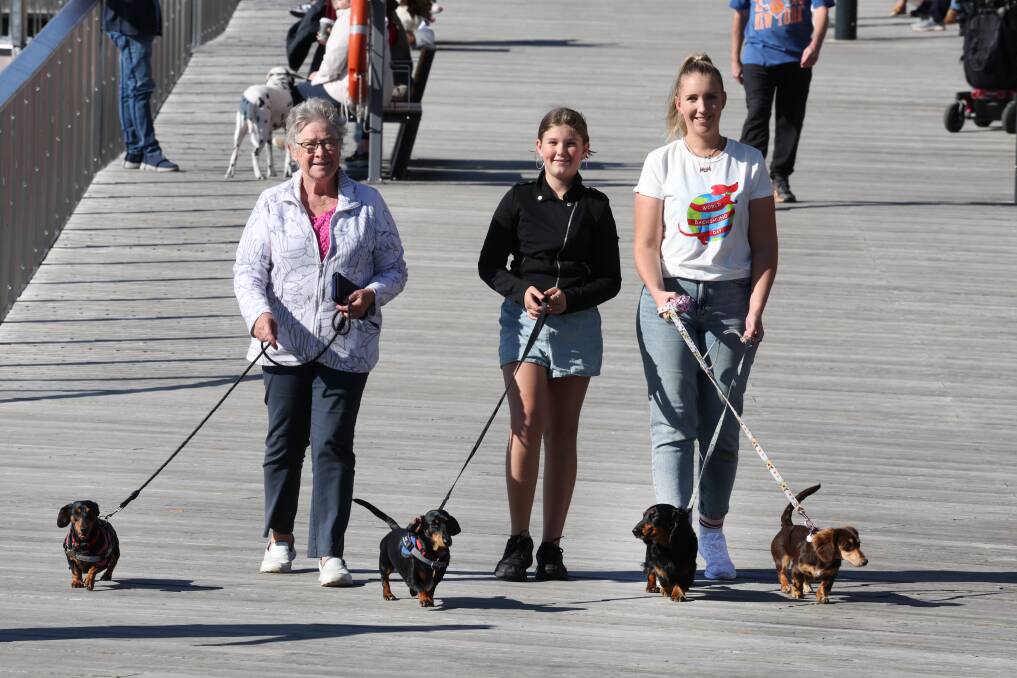 L-R: Marie Beatty, Summer Caught and Rebecca Goodchild with dachshunds Archie, Benji, Bambi, Elsa. Picture by Robert Peet