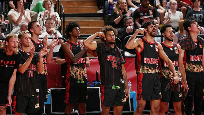 Illawarra Hawks cheered on their team as they defeated the Perth Wildcats on the 15th February 2024. Image by Sylvia Liber.