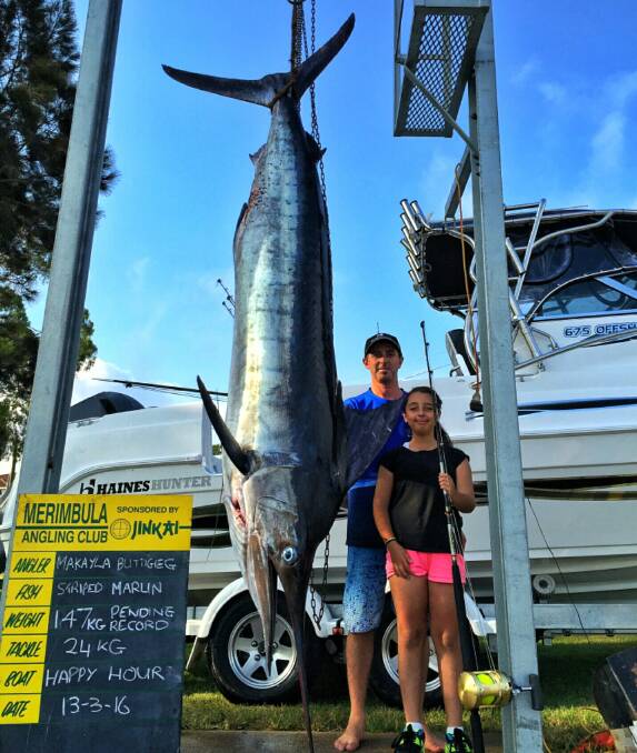 World record marlin caught by 10yo girl at Merimbula, Illawarra Mercury