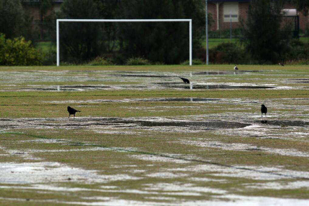 The wet weather policy that determines whether sportsfields in the Shellharbour City Council area can be used could be about to change. Picture by Sylvia Liber