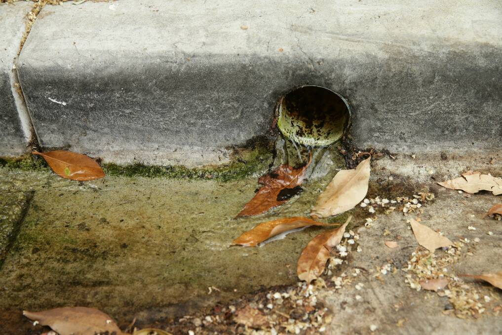 Blocked drains were leaving sewage puddling in Russell Vale streets in 1950.