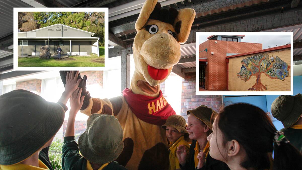 Warilla Scout Hall, Healthy Harold and Flinder Child and Family Centre were among the recipients. File pictures