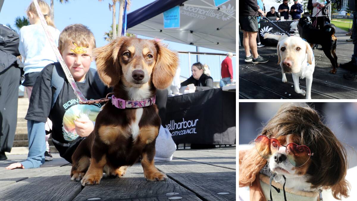 People and pooches made sure Woofstock 2024 was a winner at the Waterfont, Shell Cove Marina, on Sunday. Pictures by Sylvia Liber
