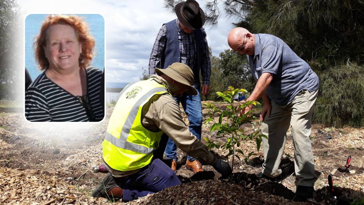 Wollongong City Council's Natural Areas Coordinator Greg Fikkers, Wollongong City Lord Mayor Gordon Bradbery, and Cr Vicky King's husband Charlie Habazin at Hooka Point planting trees in memory of Cr King, inset. Pictures supplied