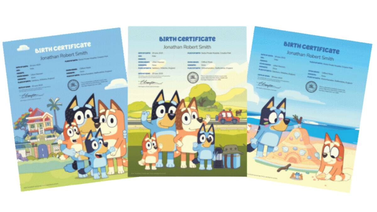 The latest release of commemorative birth certificates, featuring Bluey and the Heelers. Picture supplied