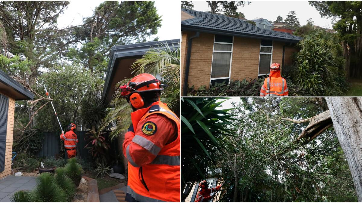 In Figtree, a large tree broke and fell onto the roof of a house on Koloona Avenue during the afternoon, with SES members working to remove a huge limb while another branch dangled overhead. Picture by Adam McLean.