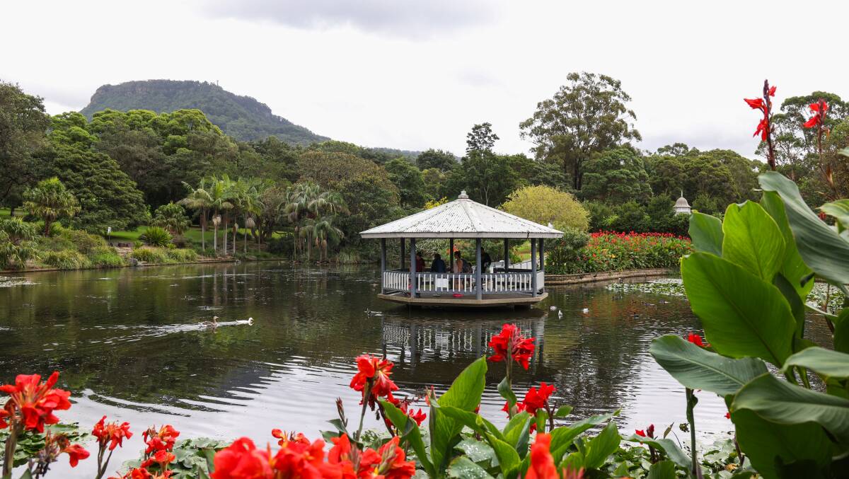 Wollongong Botanic Garden. Picture by Wesley Lonergan.
