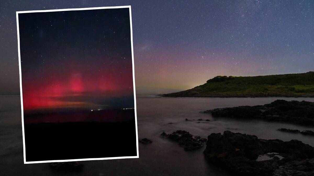 Photos by David Bradley and David Metcalf, from Gerroa and Shellharbour. 
