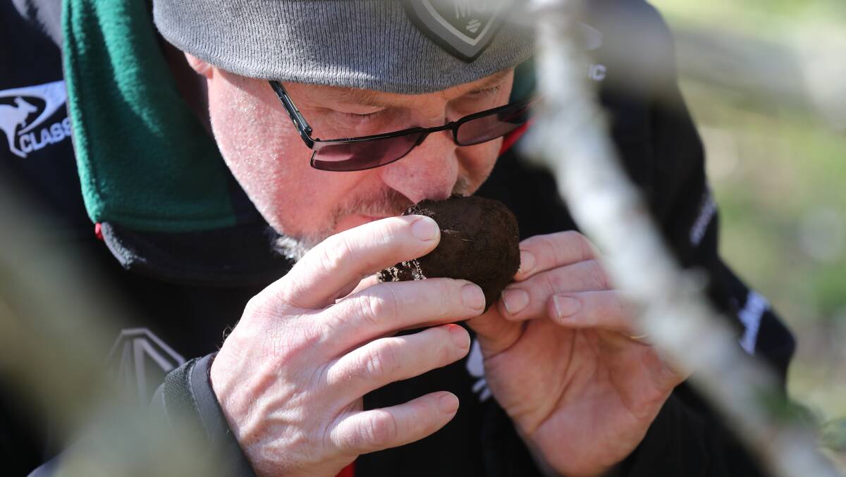 Andrew Buckingham smelling a fresh Black Perigord truffle. Picture by Robert Peet