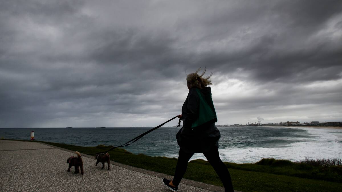 Make the most of Friday's sun as wet weekend looms for Illawarra