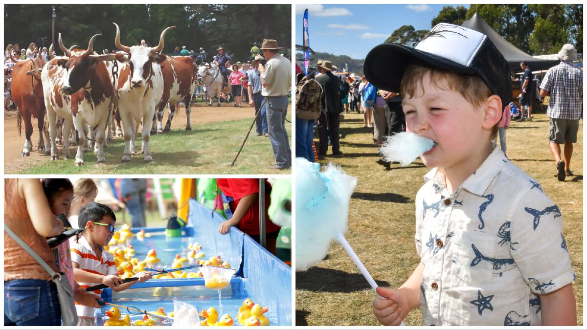 Fairy floss, cows, carnival rides: Robertson has it all this weekend