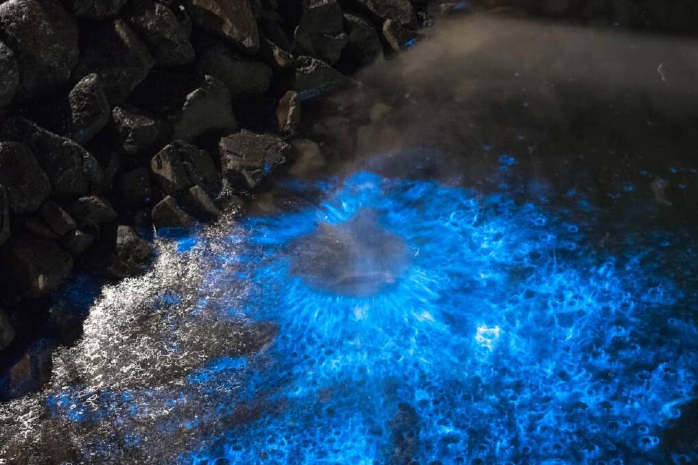 Residents were treated to a spectacular display of bioluminescence in early December 2021 at Shell Cove Marina. Picture: Sally Sopniewski