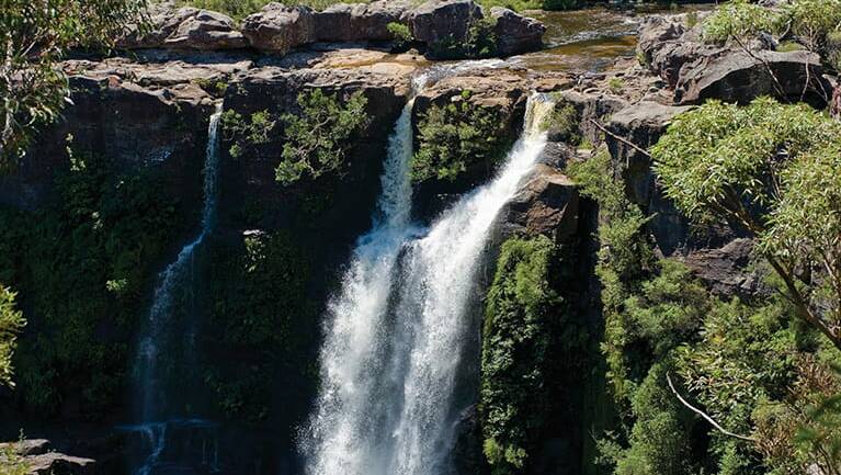 Carrington Falls. File picture: National Parks & Wildlife Service/Michael Van Ewijk 