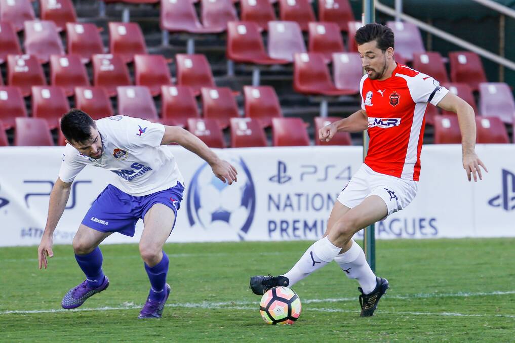 KEY FIGURE: Wolves attacker Patrick Antelmi has been in good form for the club heading into Sunday's home stand against Wollongong Olympic. Picture: ADAM McLEAN