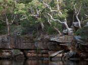 The Hacking River in the Royal National Park. Picture supplied, DCCEEW/Nick Cubbin