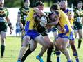 File picture shows Stingrays player/coach Tom Warner tackled by Warilla Lake South Gorillas players. Picture by Sylvia Liber