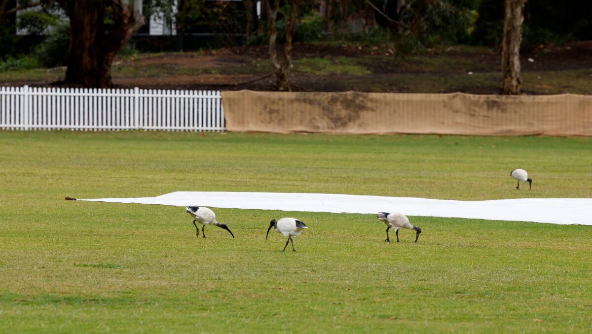 The covers on the ground at Keira Oval. Wet weather on the weekend meant no Illawarra cricket games proceeded on Saturday, with only one South Coast game going ahead. Picture by Anna Warr