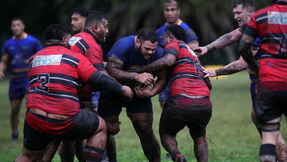 GAME TIME: Avondale and Tech-Tahs will play a semifinal at Ocean Park on Sunday, a day after Shoalhaven battle Shamrocks at Nowra Showground. Picture: Sylvia Liber.