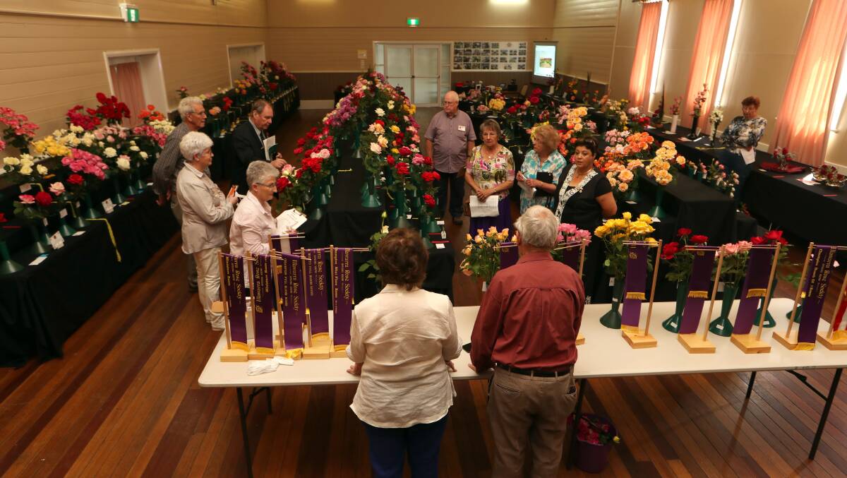 A Spring Rose Festival judged by the Illawarra Rose Society in 2017.