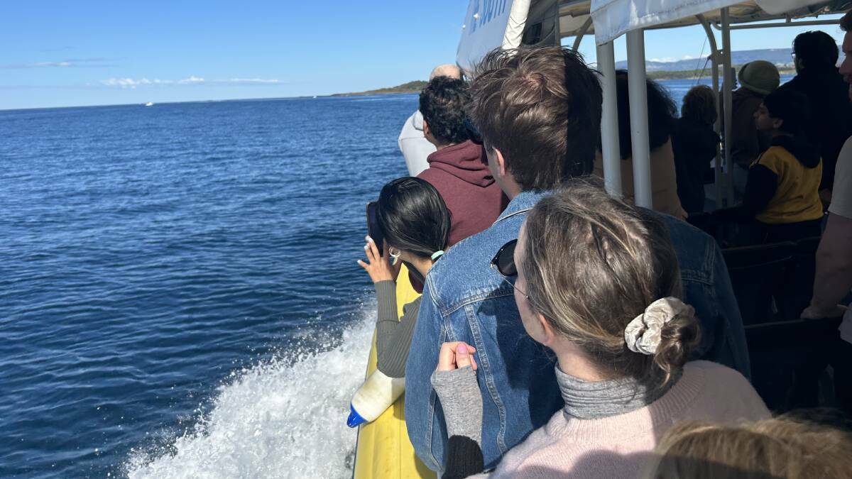 Whale watchers enjoy a cruise in waters off Shellharbour.