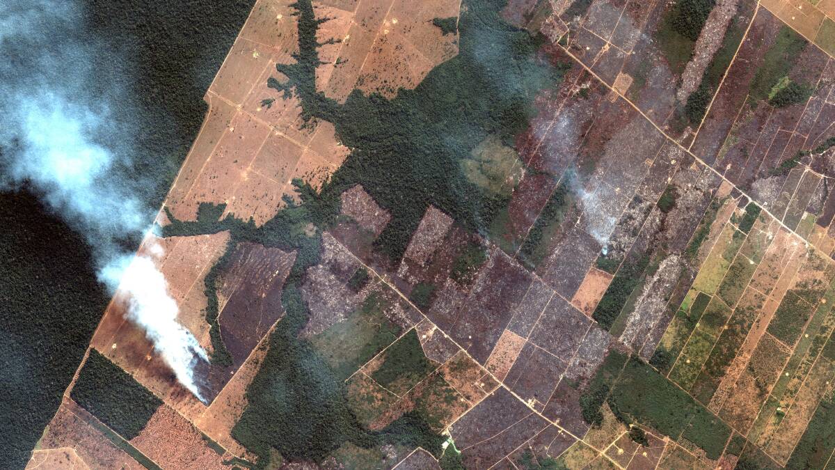 A satellite image shows fires burning in the State of Rondonia, Brazil, in the upper Amazon River Basin. Photo: AP