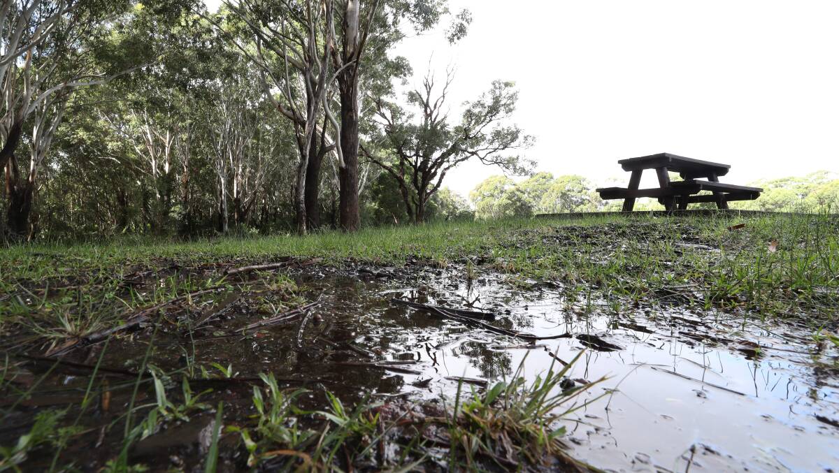 The sodden grounds at Blackbutt Forest in Shellharbour, where Enchanted Forest is due to take place from May 24. 
