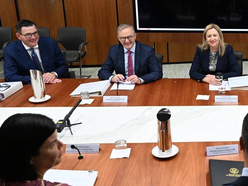Anthony Albanese has hailed measures agreed by leaders at the National Cabinet as practical reforms. (Darren England/AAP PHOTOS)
