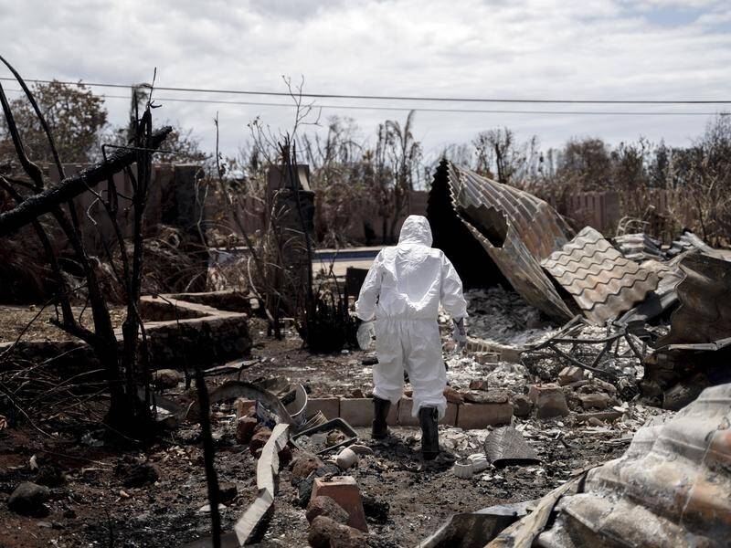 Search teams continue to comb through the rubble in Laihaina following August's deadly wildfire. (AP PHOTO)