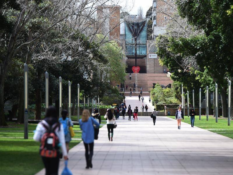 A universities leader is slamming the Labor government's plan to cut international student numbers. (Dean Lewins/AAP PHOTOS)