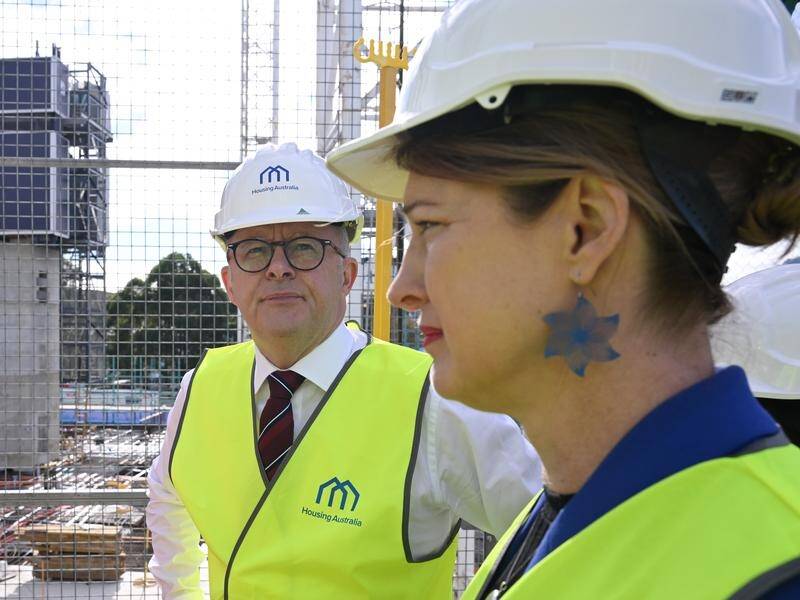 Anthony Albanese and Julie Collins are championing funding for nationwide social housing. (Dean Lewins/AAP PHOTOS)