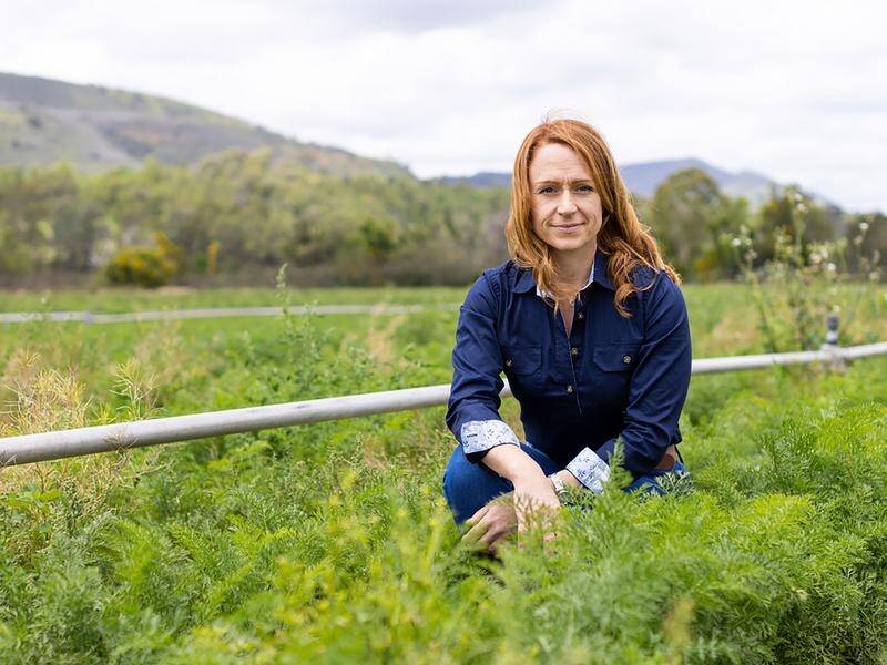 Most consumers think 'organic' means certified ... but it's not so in Australia, says Niki Ford. (Supplied/AAP PHOTOS)