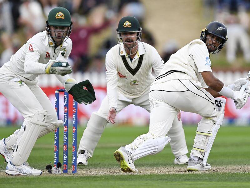 Rising star Rachin Ravindra is a key figure in NZ's big fourth-innings run chase against Australia. (AP PHOTO)