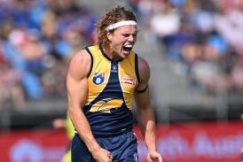 West Coast's Jayden Hunt plays his 150th AFL game when the Eagles battle his former side Melbourne. (Michael Errey/AAP PHOTOS)