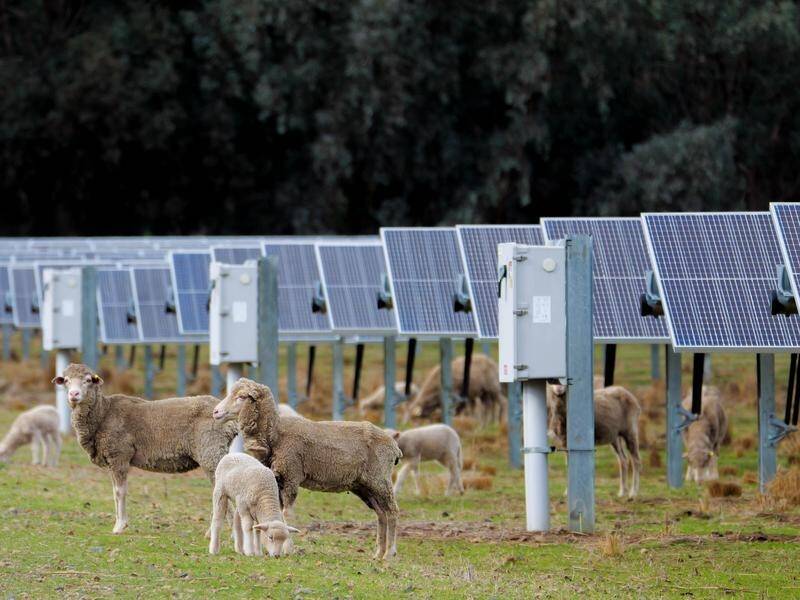 Farmers are trialling the use of renewable energy as Australia pursues net-zero emissions targets. (HANDOUT/AUSTRALIAN CONSERVATION FOUNDATION)