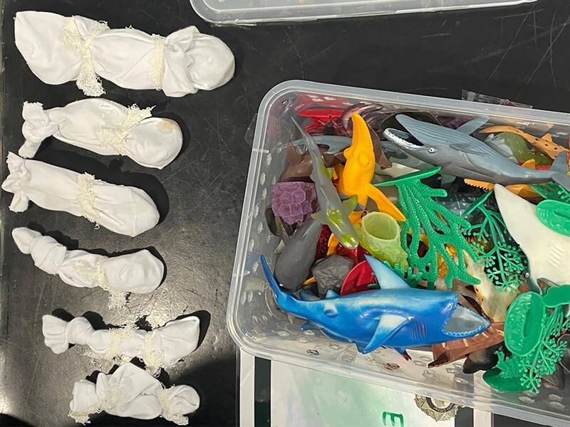 The reptiles were smuggled in packages surrounded by toys and tied inside socks. (HANDOUT/OFFICE OF ENVIRONMENT MINISTER TANYSA PLIBERSEK)