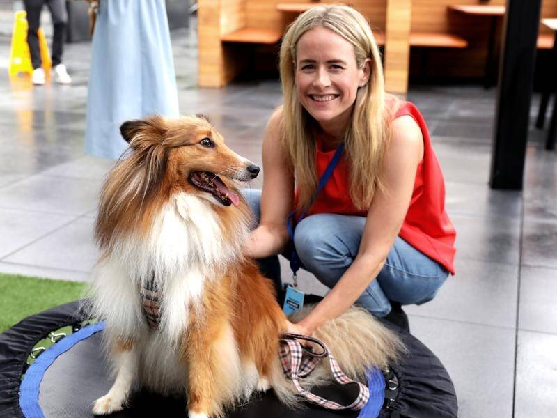 Camilla Green and Basil enjoy the new pet playground at the Sydney offices of Amazon Australia. (Esther Linder/AAP PHOTOS)