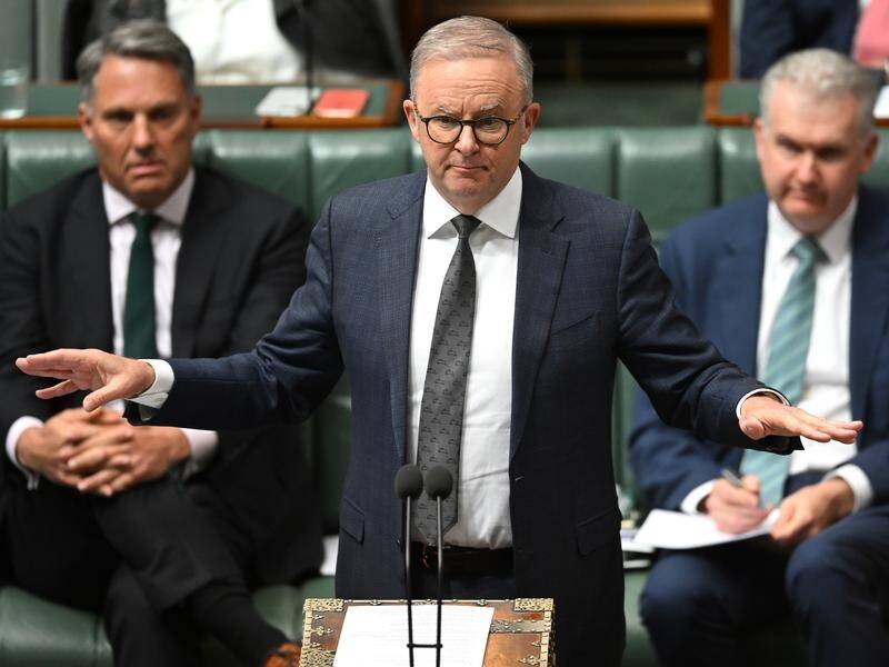 Prime Minister Anthony Albanese says Australia needs to prepare now to reach net zero emissions. (Lukas Coch/AAP PHOTOS)