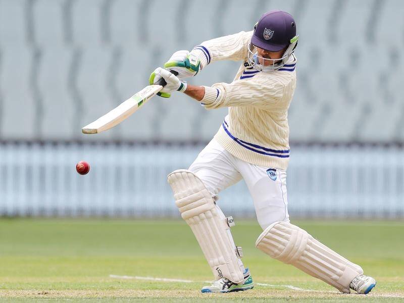 Daniel Hughes's century has helped put NSW well on top in their shield clash with South Australia. (Matt Turner/AAP PHOTOS)