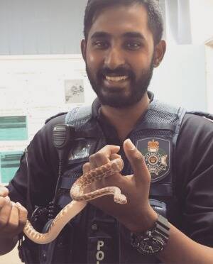 Police officers had the snakes identified by Department of Environment staff. Photo: Queensland Police Service