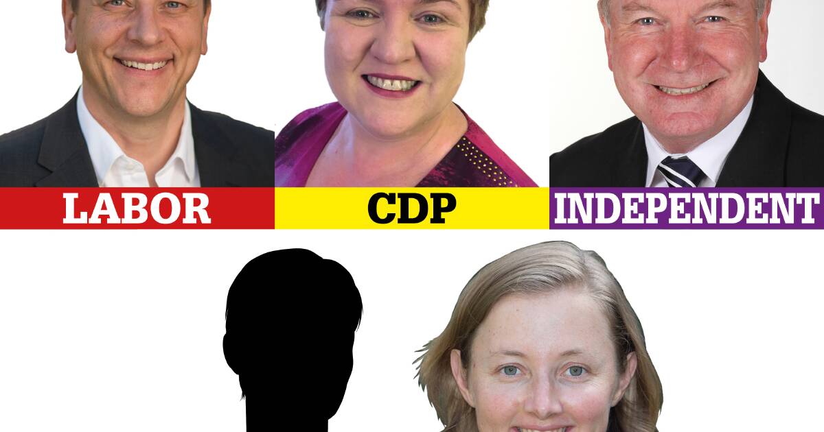 Wollongong byelection: candidate profiles | Illawarra Mercury ...